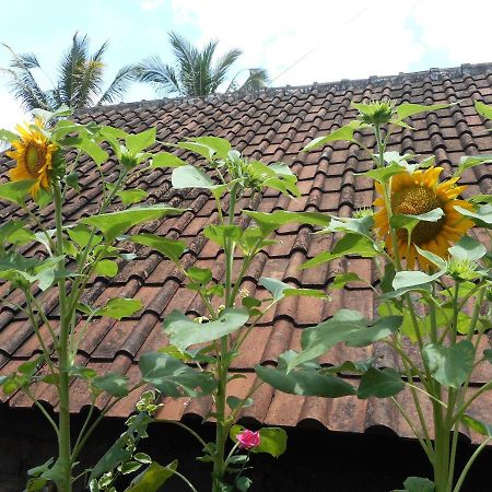 Ming Homestay Sidemen (Bali) Exterior foto