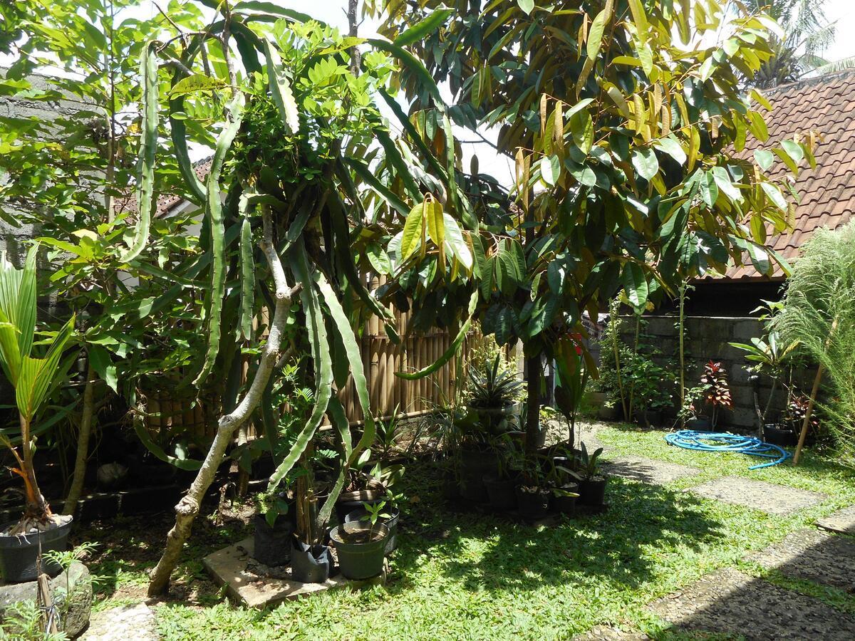 Ming Homestay Sidemen (Bali) Exterior foto